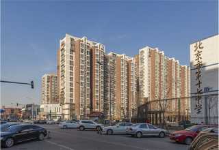 sigma细胞冻存液怎么样